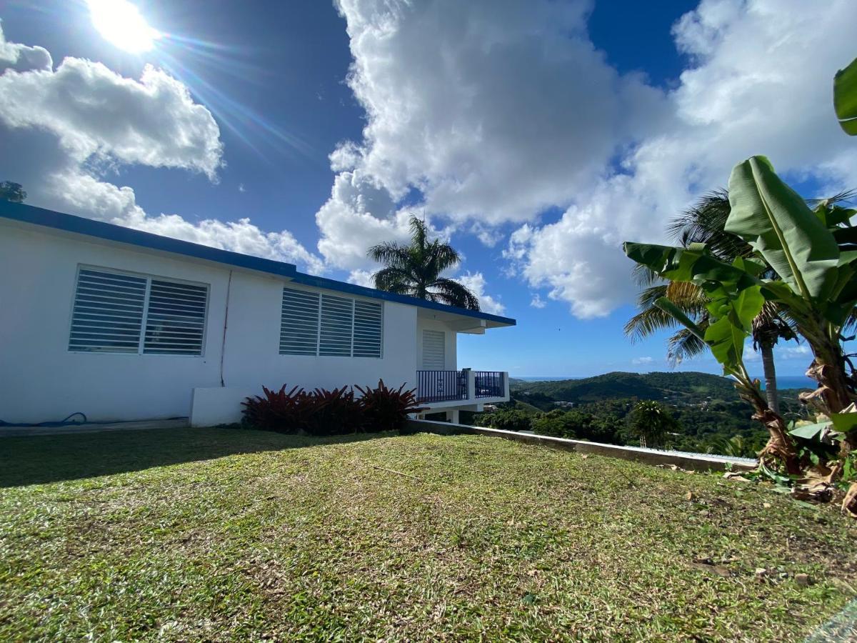 Million Dollar View In Puerto Rico Villa ลูควิโญ ภายนอก รูปภาพ