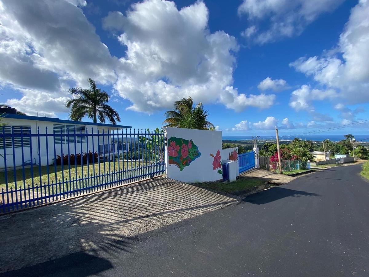 Million Dollar View In Puerto Rico Villa ลูควิโญ ภายนอก รูปภาพ