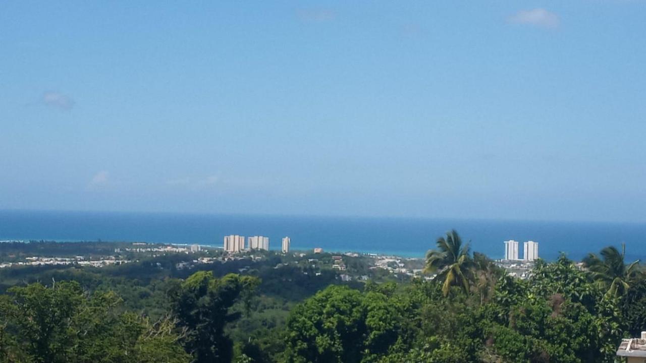 Million Dollar View In Puerto Rico Villa ลูควิโญ ภายนอก รูปภาพ