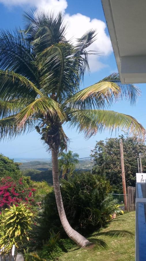 Million Dollar View In Puerto Rico Villa ลูควิโญ ภายนอก รูปภาพ