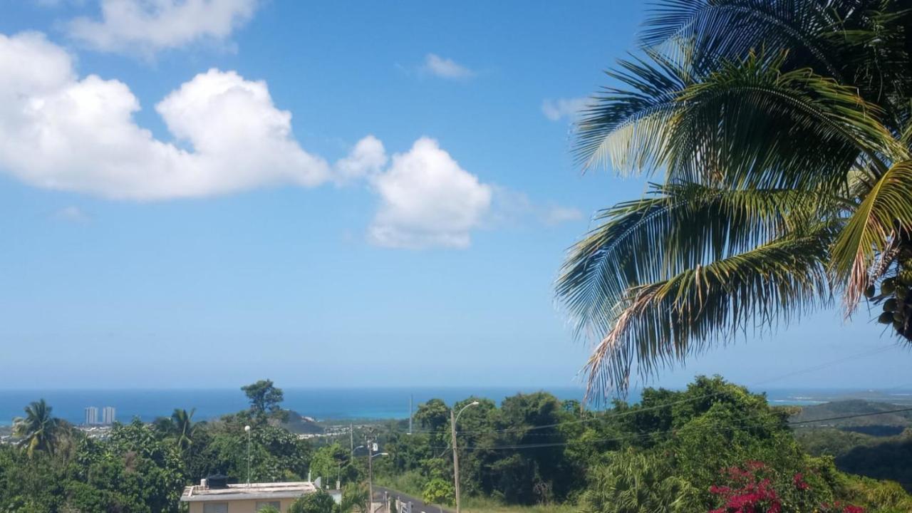 Million Dollar View In Puerto Rico Villa ลูควิโญ ภายนอก รูปภาพ