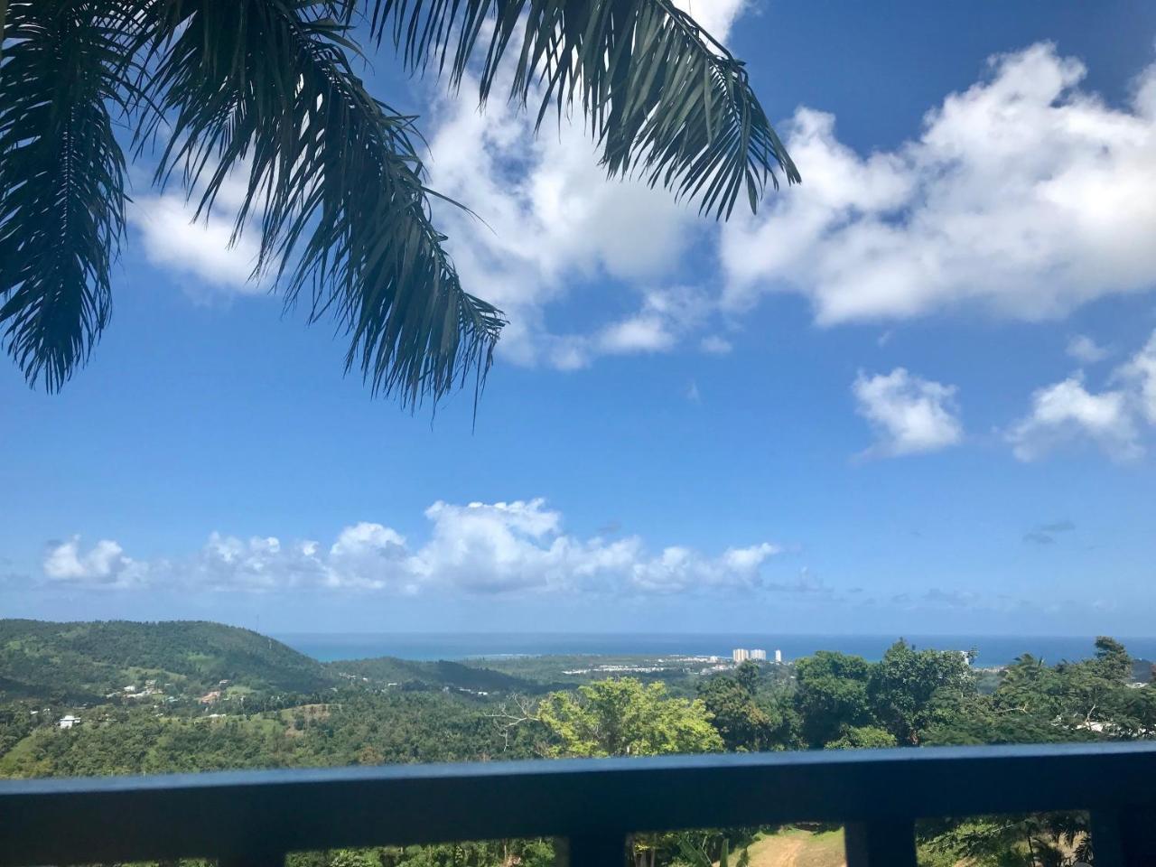 Million Dollar View In Puerto Rico Villa ลูควิโญ ภายนอก รูปภาพ