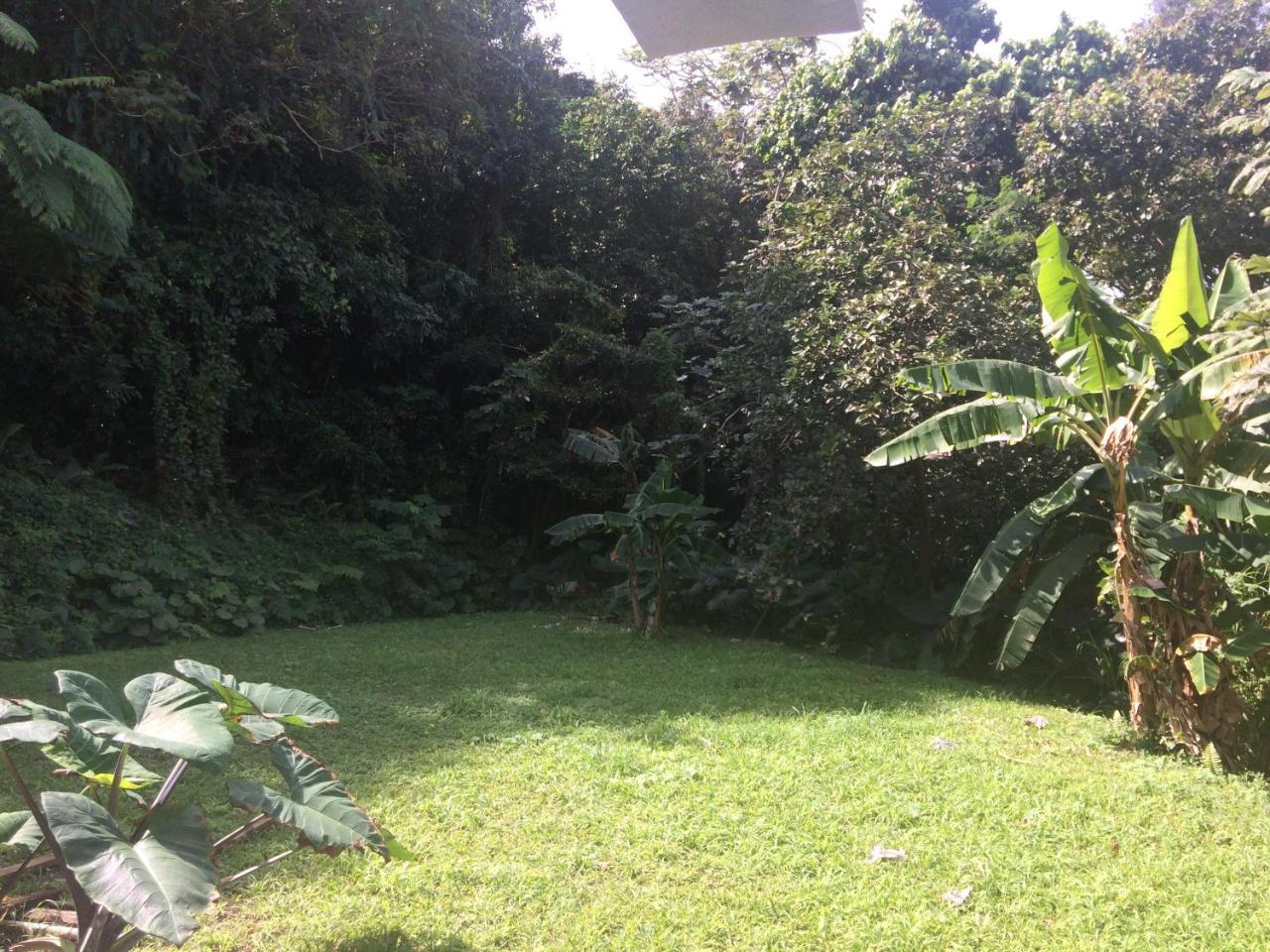 Million Dollar View In Puerto Rico Villa ลูควิโญ ภายนอก รูปภาพ