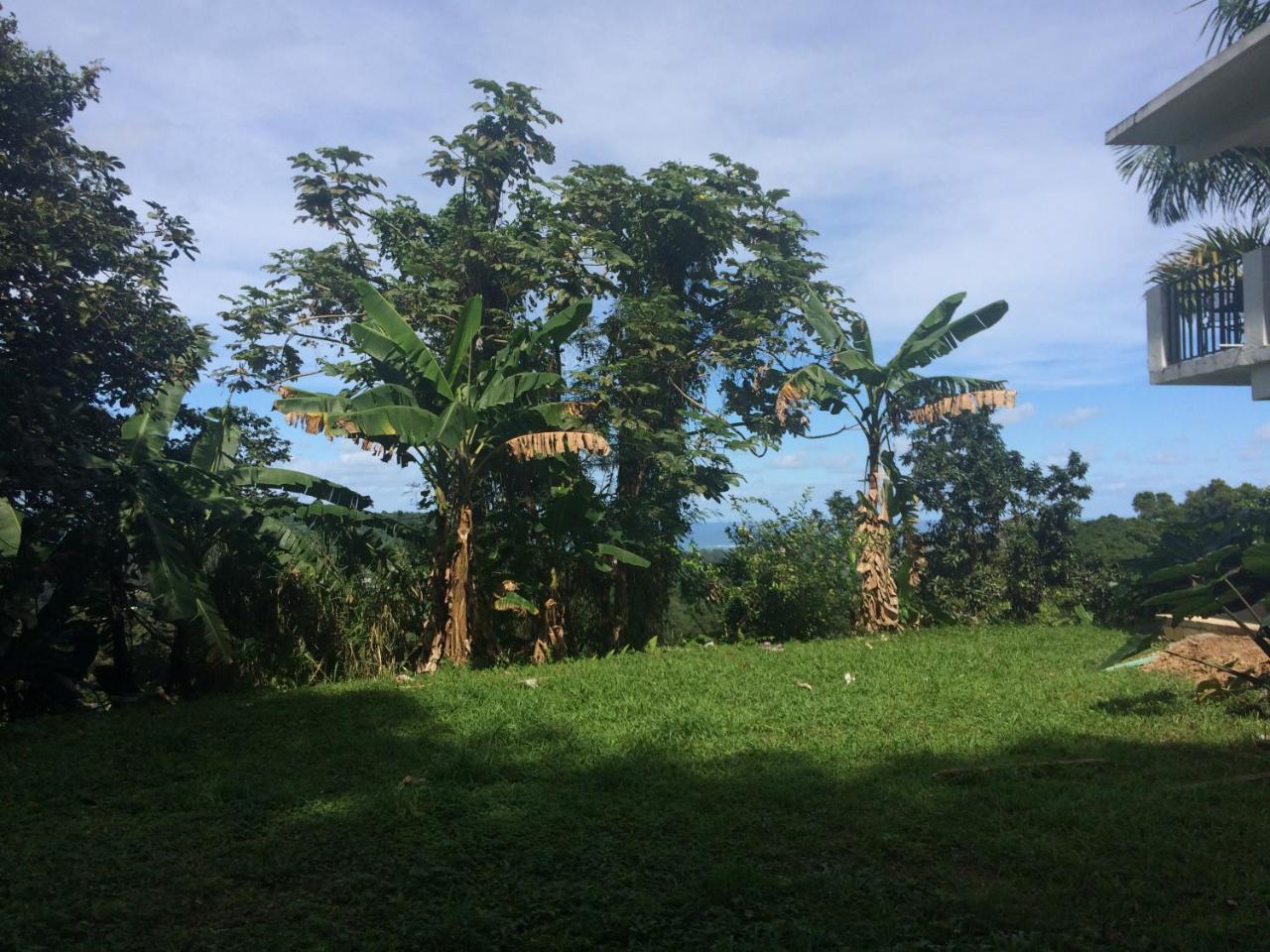 Million Dollar View In Puerto Rico Villa ลูควิโญ ภายนอก รูปภาพ